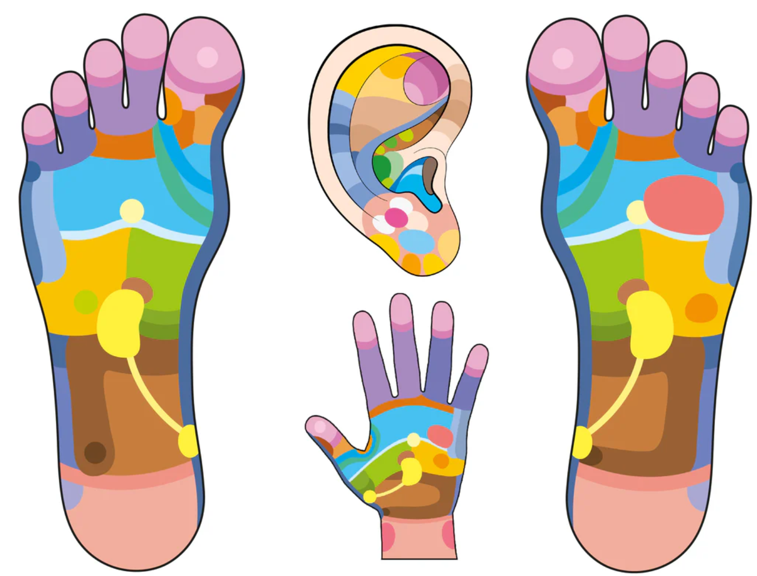 Diploma in Reflexology Therapy (D.R.T.)