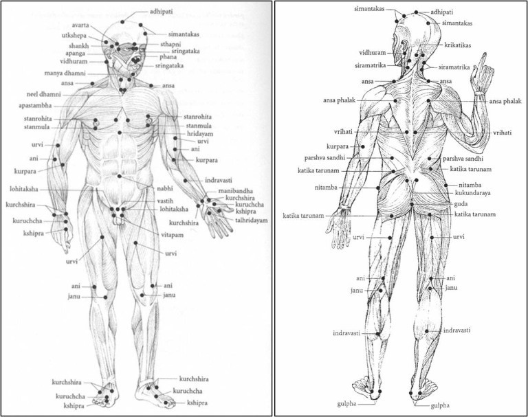Diploma in Varma Therapy (D.Vr.T.)