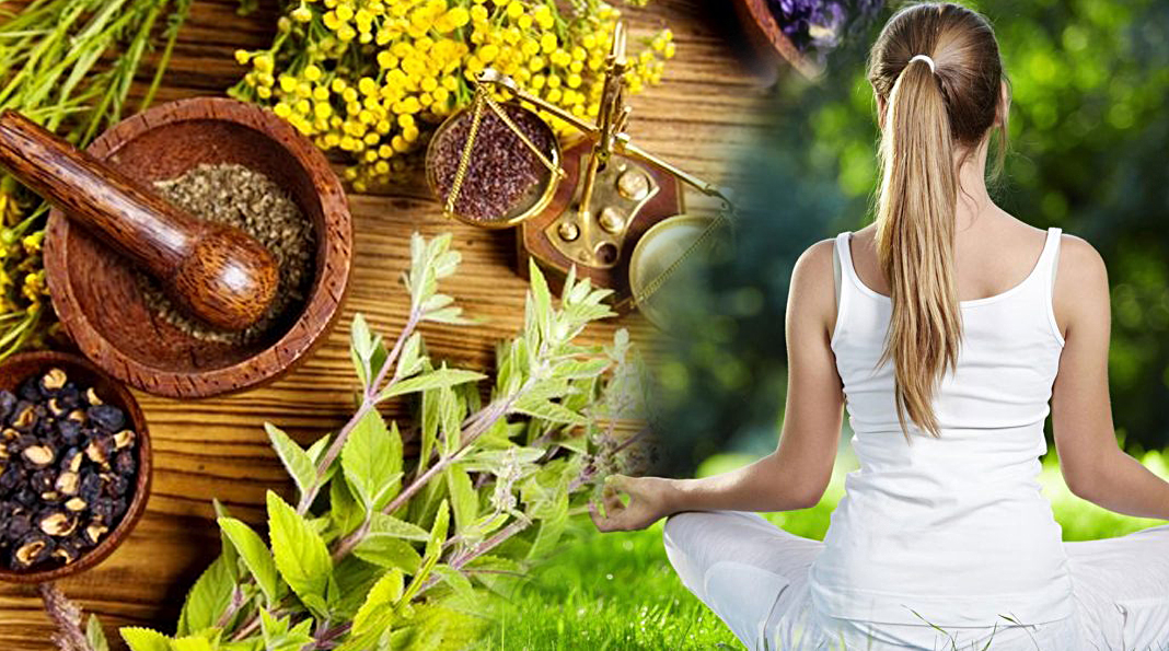 Master Diploma in Naturopathy & Yogic Science (M.D.N.Y.S.)