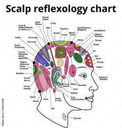 course-image