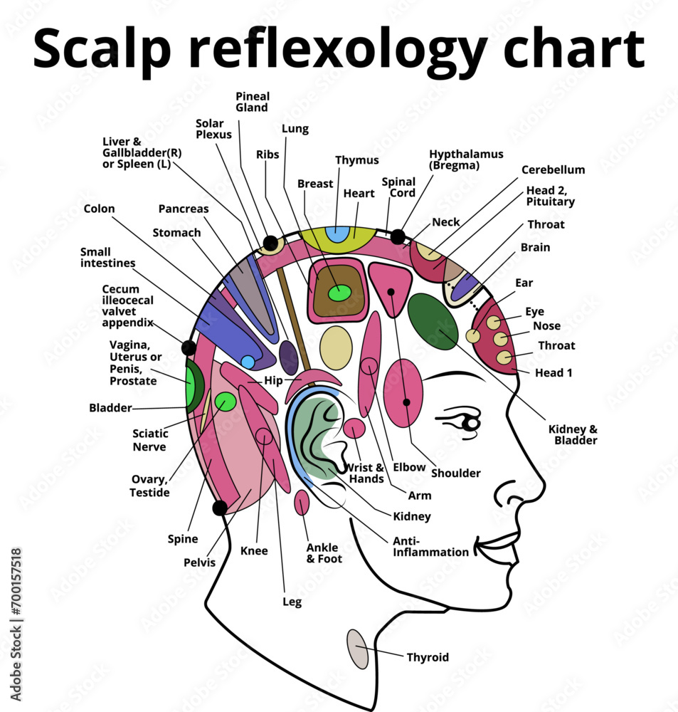 Diploma In Scalp Acupuncture (D.S.Ac.)
