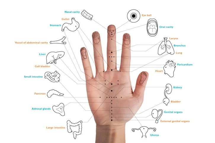 Diploma in Electro Acupressure (D.E.A.)