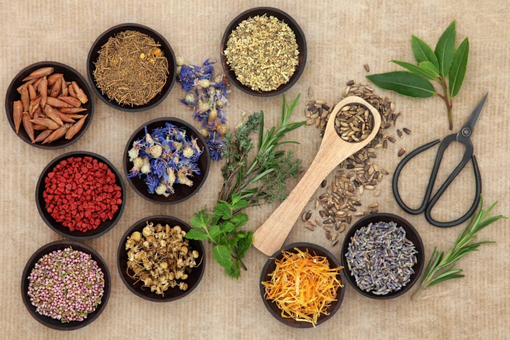 Diploma in Naturopathy (D.N.)