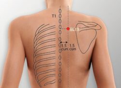 course-image