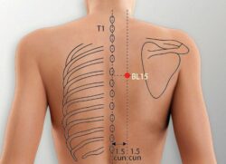 course-image