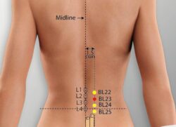 course-image