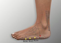 course-image