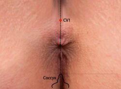 course-image