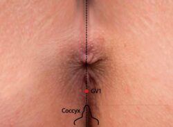course-image
