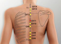 course-image