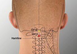 course-image