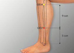 course-image