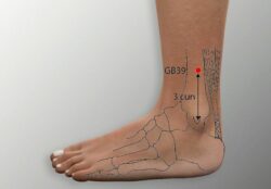 course-image