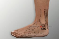 course-image
