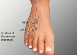 course-image