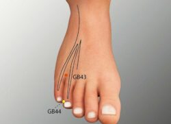 course-image