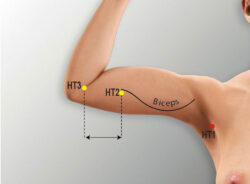 course-image