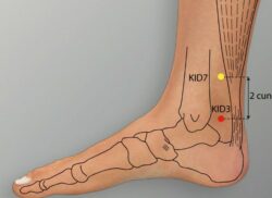course-image