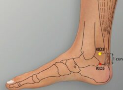 course-image