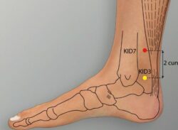 course-image