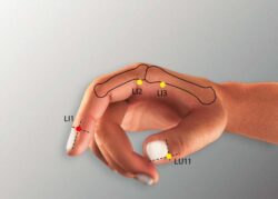 course-image
