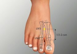course-image