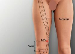 course-image