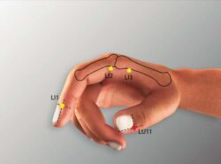 course-image