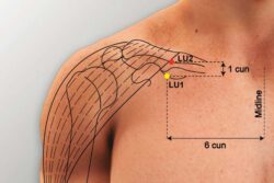 course-image
