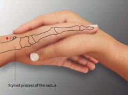 course-image