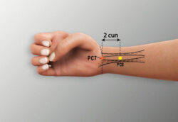 course-image