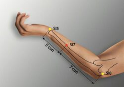 course-image