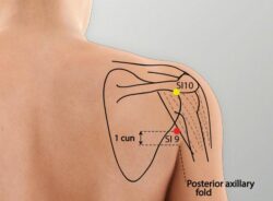 course-image