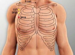 course-image