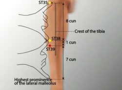 course-image
