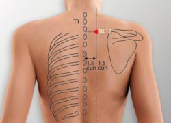 course-image