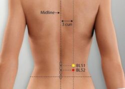 course-image