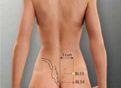 course-image