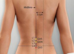 course-image