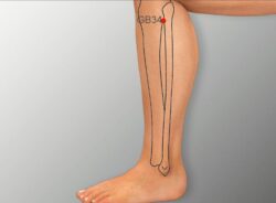course-image