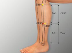 course-image