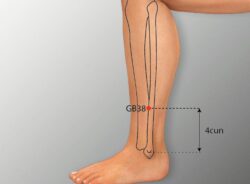 course-image
