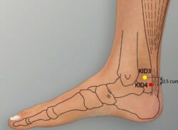 course-image