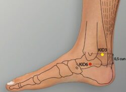 course-image