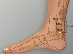course-image