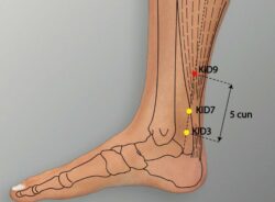 course-image