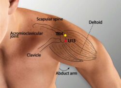 course-image