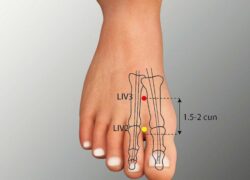 course-image