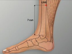 course-image