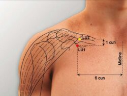 course-image